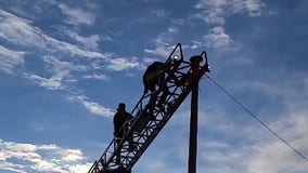 Colorado crews rescue cat stuck on light pole for days