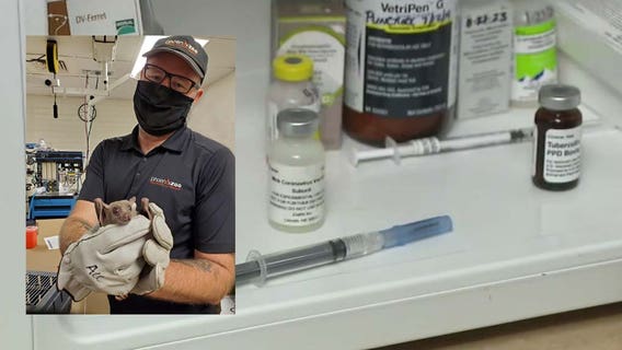 The Phoenix Zoo is giving animals the COVID-19 vaccine