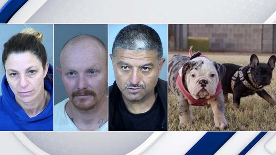 'Dognappers' arrested: 3 accused of stealing dogs from Glendale homeowners' backyard: police