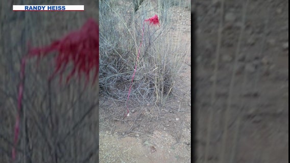 Mattel to turn story of young girl's Christmas list discovered by Arizona man into a movie