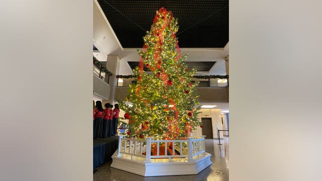 Arizona Gov. Ducey kicks off holidays with lighting of Capitol tree