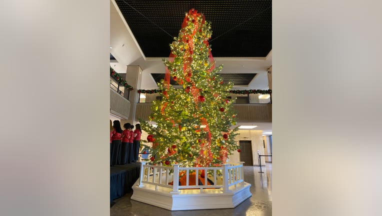 capitol christmas tree