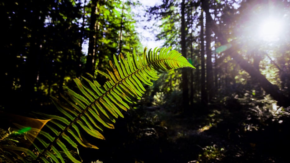 STR_LostCoast_004_web.jpg