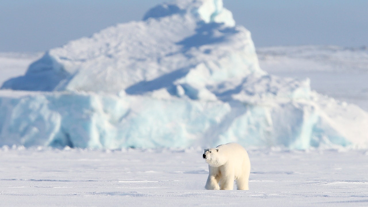 How warming affects Arctic sea ice, polar bears - FOX 10 News Phoenix