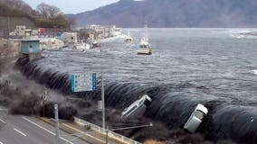 What is a tsunami and what causes them?