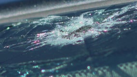 New Year's stray bullet pierces Tolleson man's car window: 'These things have consequences'