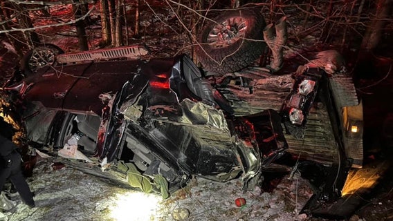 Dog escapes rollover wreckage to find help, leads cops back to injured owner on Vermont highway