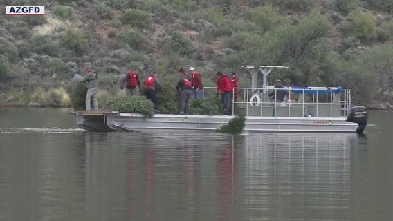 Dried-out Christmas trees make new homes for fish at Saguaro Lake
