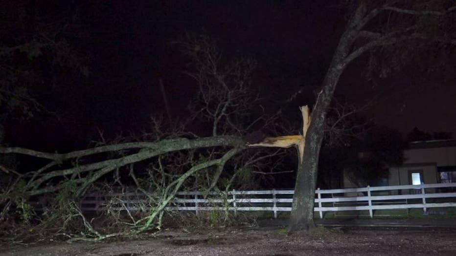 tree-knocked-down-in-montgomery.jpg