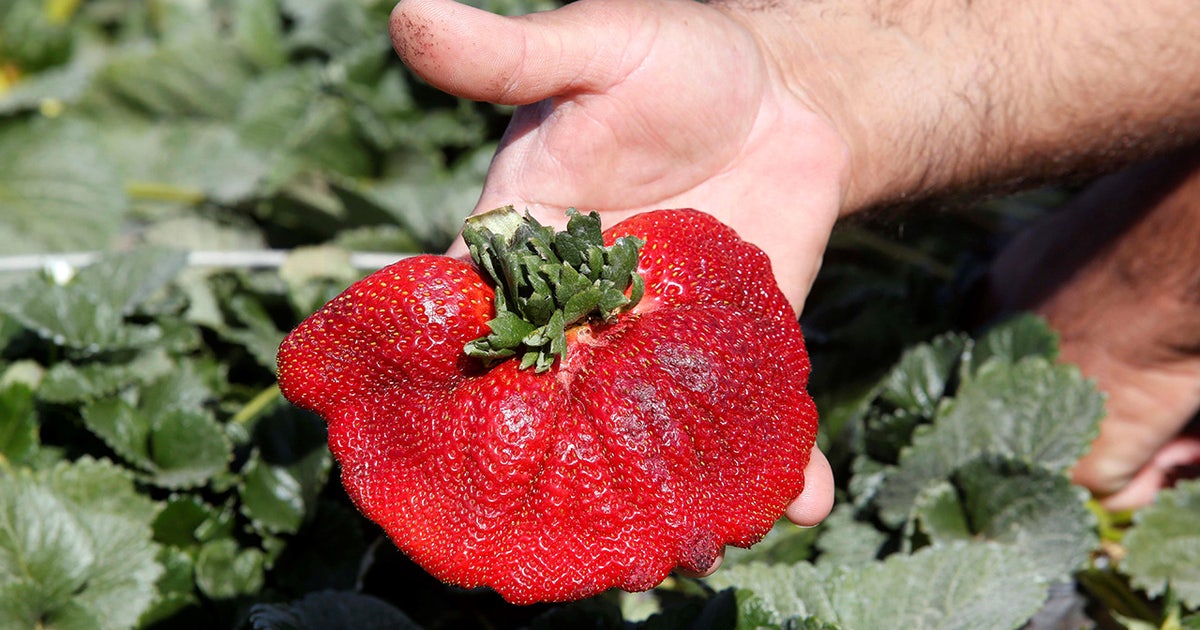 GettyImages-1231232284.jpg?ve=