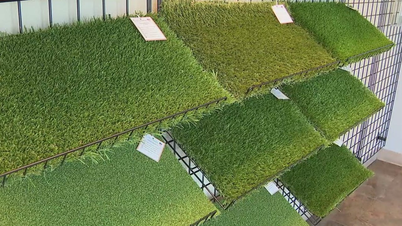 A Paradise Valley neighborhood HOA takes resident to court over artificial grass - Vimarsana News