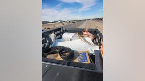 More than 800 tons of trash found on Maricopa County freeways, a 47% increase since 2017