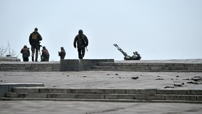 'Russian Warship, go f--- yourself': Ukrainian soldier livestreamed from Snake Island during final stand