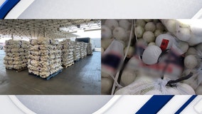 Meth disguised as onions seized at San Diego border crossing, CBP officials say