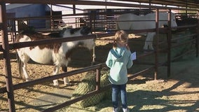 Book-reading program at Cave Creek animal rescue helping kids - and horses, too