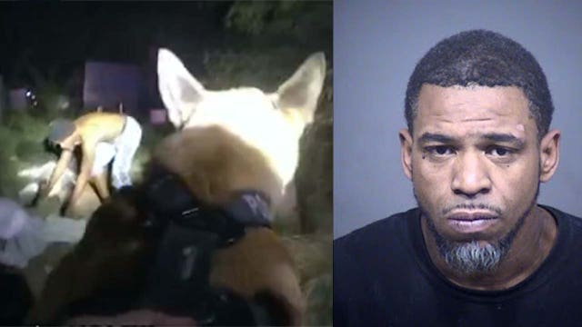'You can't hide': Mesa K9 officer tracks down man accused of assaulting woman at light rail stop