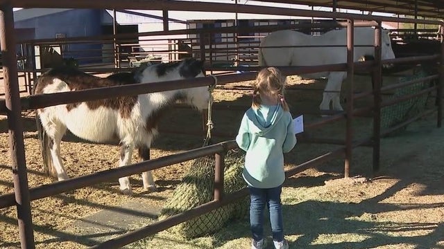 Book-reading program at Cave Creek animal rescue helping kids - and horses, too
