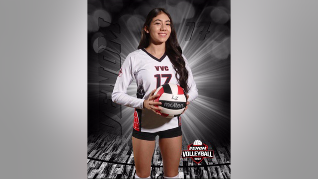 Arizona volleyball team mourns the loss of player killed in Austin crash