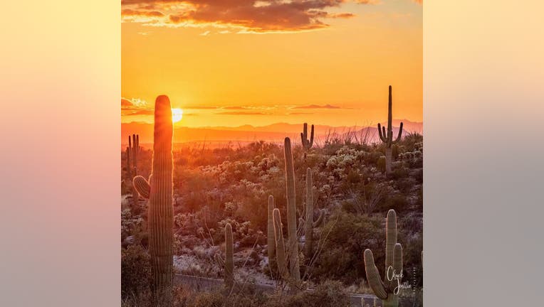 Feb. 1: Saguaro National Park - Starting the month of love with a beautiful, lovely shot of the Arizona desert.
