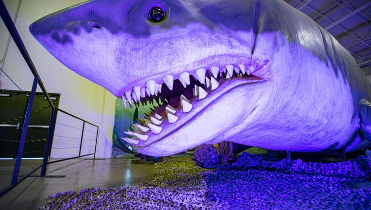 57e0448a-Press Preview Of Jurassic Quest In Del Mar, CA