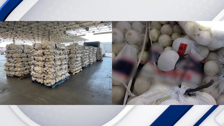 Meth disguised as onions in a shipment pallet (Courtesy: U.S. Customs and Border Protection)