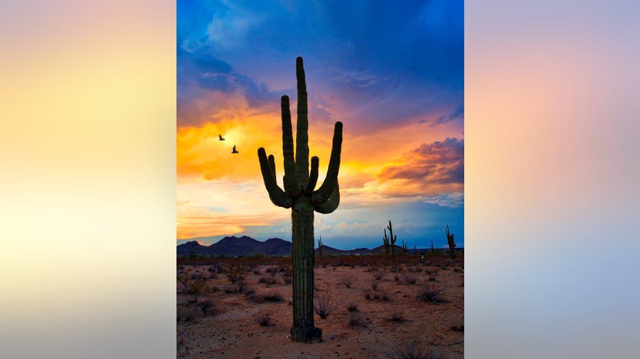 Feb. 4: Let's kick off a relaxing weekend with an uniquely Arizona evening sky! Have fun and stay safe this weekend! (Courtesy: Keith Dines)