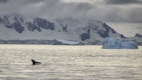 Temperatures in Antarctica reach 70 degrees warmer than normal