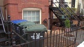 5 fetuses found in DC home: anti-abortion group claims to have held funeral and naming ceremony for fetuses