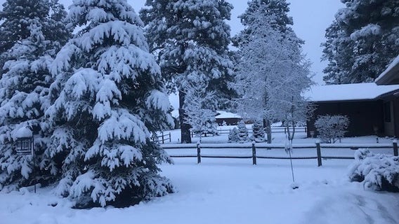 Spring storm brings rain to Phoenix area; snow to northern Arizona