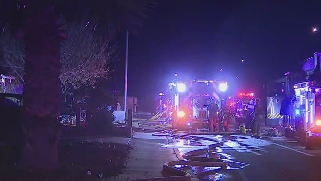 Firefighters rescue dogs, lizards, snakes in Peoria house fire