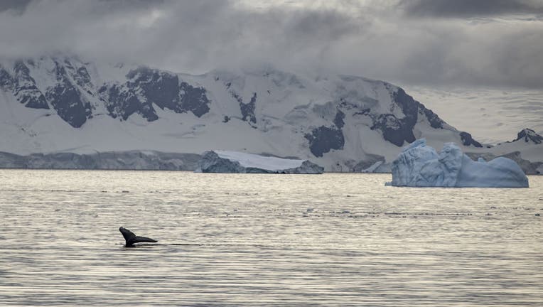 Turkish scientists leave minimum footprint on Antarctica on the 6th National Antarctic Science Expedition