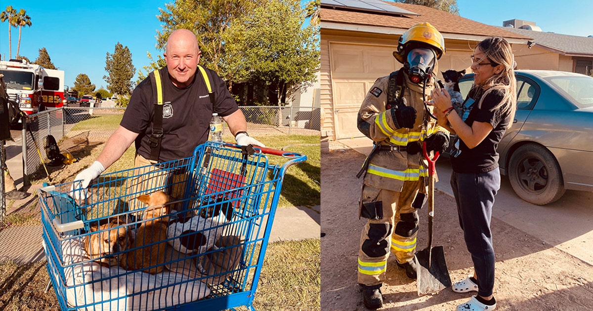 Dogs rescued from fast-moving Phoenix house fire | FOX 10 Phoenix