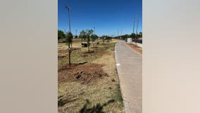 Hundreds of trees planted at Cesar Chavez Park to create Phoenix's first 'cool corridor'