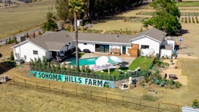 ‘High life’: Cannabis-infused farm listed on Airbnb