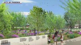 Community garden 'oasis' to be built at downtown Phoenix park