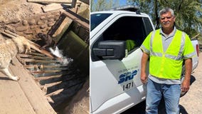 Arizona SRP worker praised for rescuing 2 dogs stuck in Laveen canal
