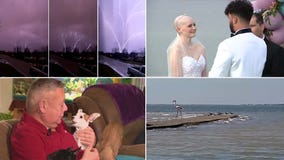 Escaped flamingos, sweet weddings, chicken nuggets: Our favorite heartwarming, strange headlines this week