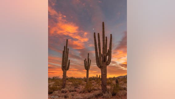 Arizona Photo of the Day - April 2022