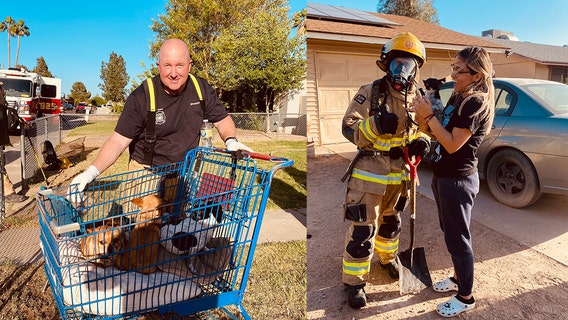 Dogs rescued from fast-moving Phoenix house fire