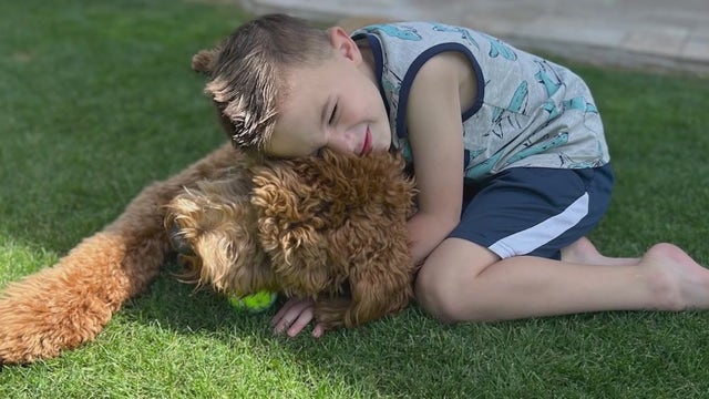 'It gives us hope:' Autistic Arizona boy gifted with support dog