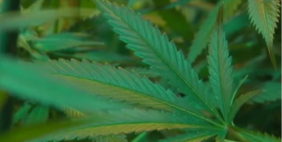 Arizona awards highly sought social equity marijuana licenses