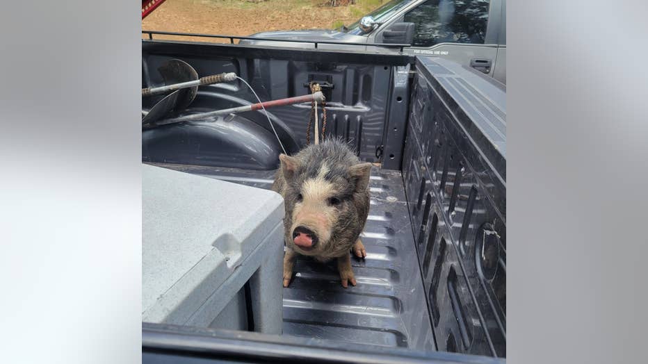 (Courtesy: Arizona Game and Fish Department)