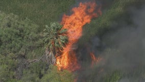 Brush fire breaks out in Chandler