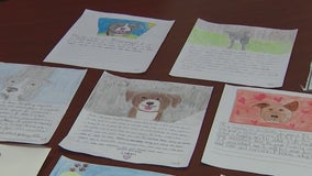 Pet project: Mesa students write letters convincing people to adopt shelter dogs