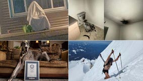 Exploding toilets, nude climbers, bad disguises: Our favorite heartwarming, bizarre headlines this week