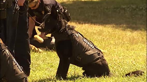 Necropsy planned after California K-9 dies while on duty