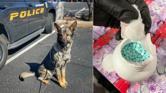 Casa Grande K9 helps find 500K fentanyl pills hidden inside collagen bottles; 2 arrested