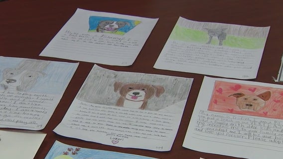 Pet project: Mesa students write letters convincing people to adopt shelter dogs