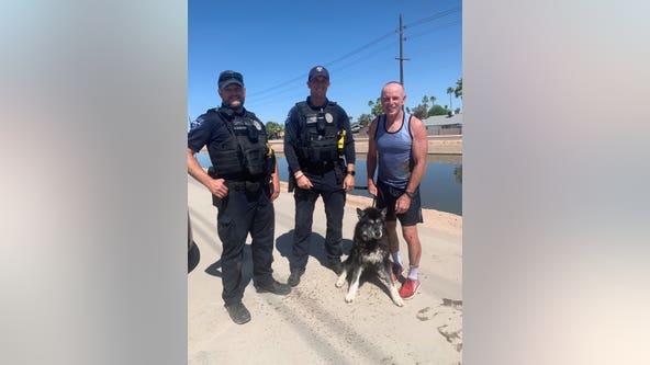 Tempe dog in need of 'fur-ever home' after almost drowning in canal: PD