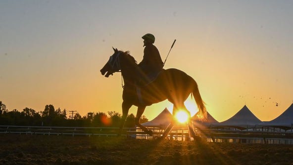 Preakness could be run in some of hottest weather in race's history